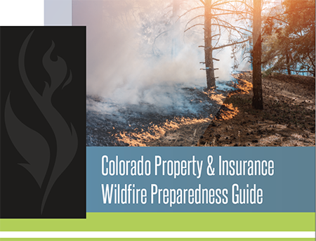 Wildfire & Insurance Brochure